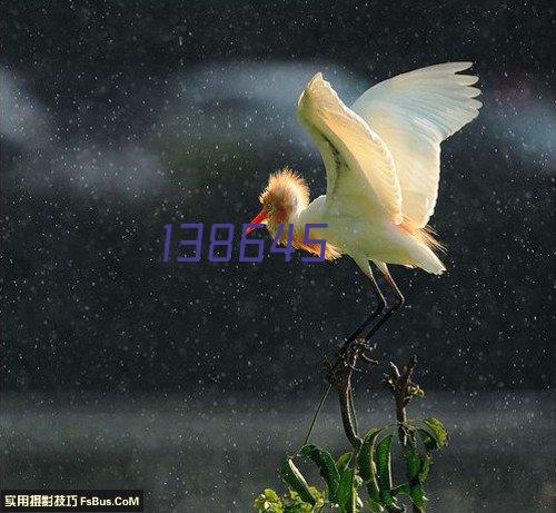 电子沙盘模型