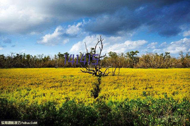 荣盛集团、恒逸集团再登《财富》世界500强，排名均上升