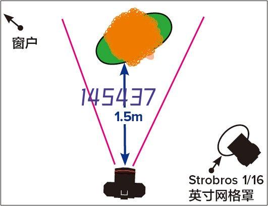 国际海运服务