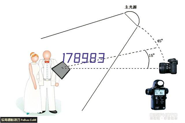 顺林模型