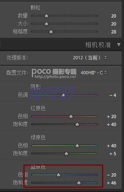 陕西钢管架搭建价格