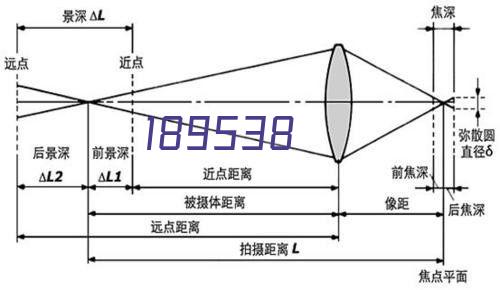 快速反应粘强力交叉膜自粘防水卷材