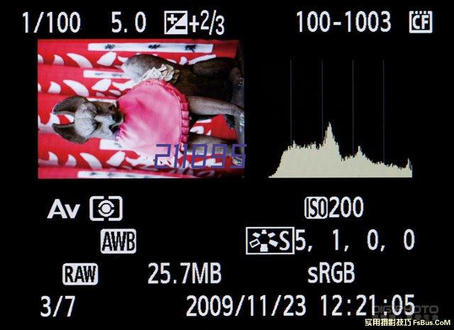 佳能（Canon）IXUS170 数码相机（2000万像素 12倍光学变焦 25mm超广角）银色套装版（16G卡+相机包）