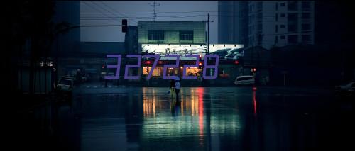 雨力伞 SOONYANG顺洋 广州雨伞定制  雨伞厂家 深圳雨伞定制  礼品伞定制   荣裕伞业  广州特色礼品广绣