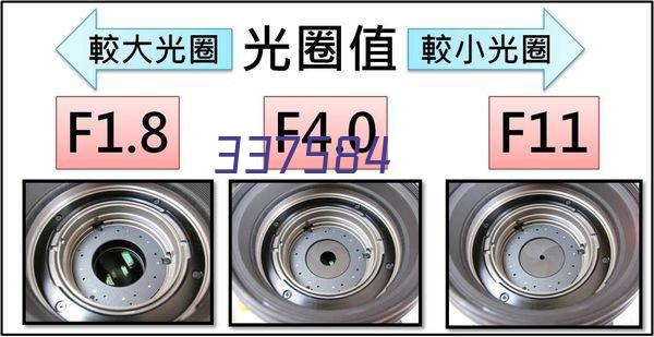 2024年河南成人高考高起专专业