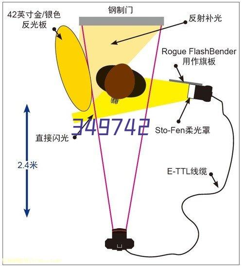 直视式电子吊秤