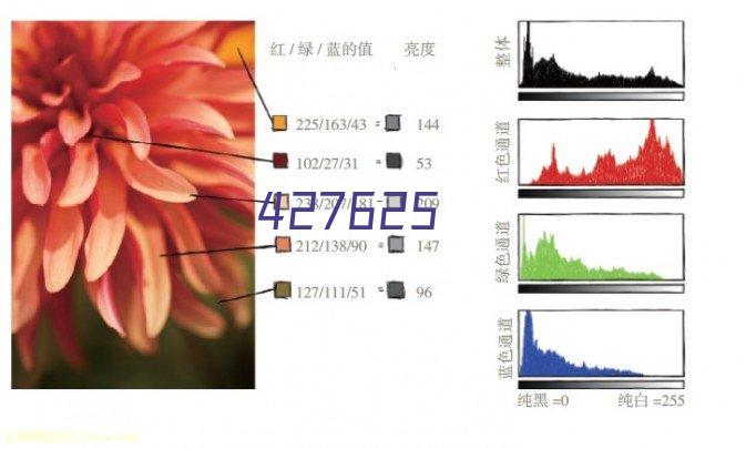 企业通用模版网站