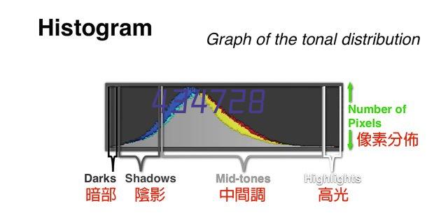 悉尼联U20