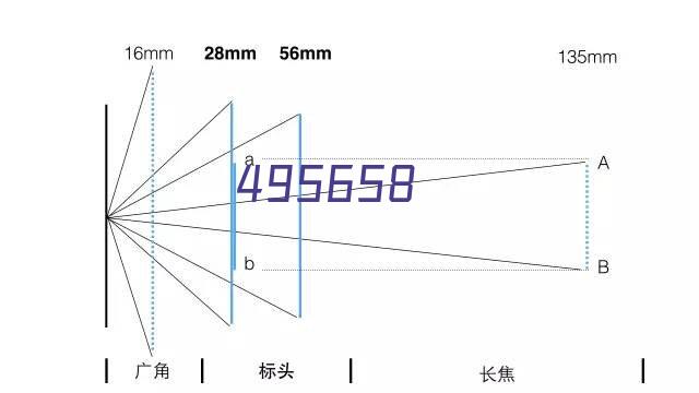 公司动态