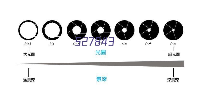 上海富瀚微电子股份有限公司