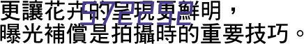 瑞淀光学系统（上海）有限公司