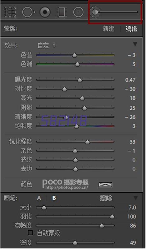 布琳狮子