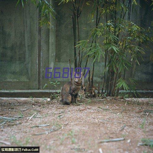 献县京协医院