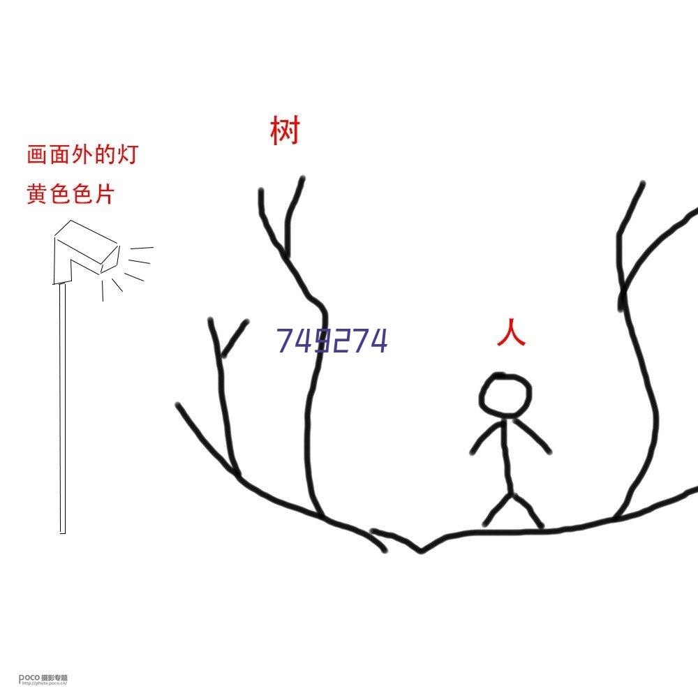 中国武术散打击败泰拳王的高光时刻