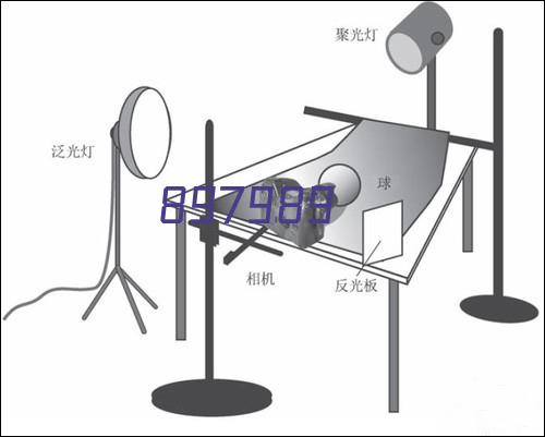 黑加仑利宾纳