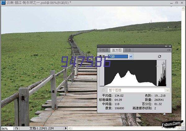 细闪银浆20微米